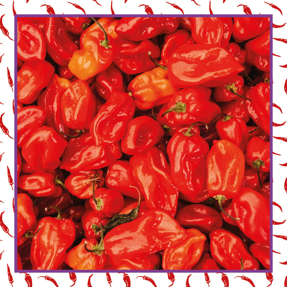 Chilisoße Habanero